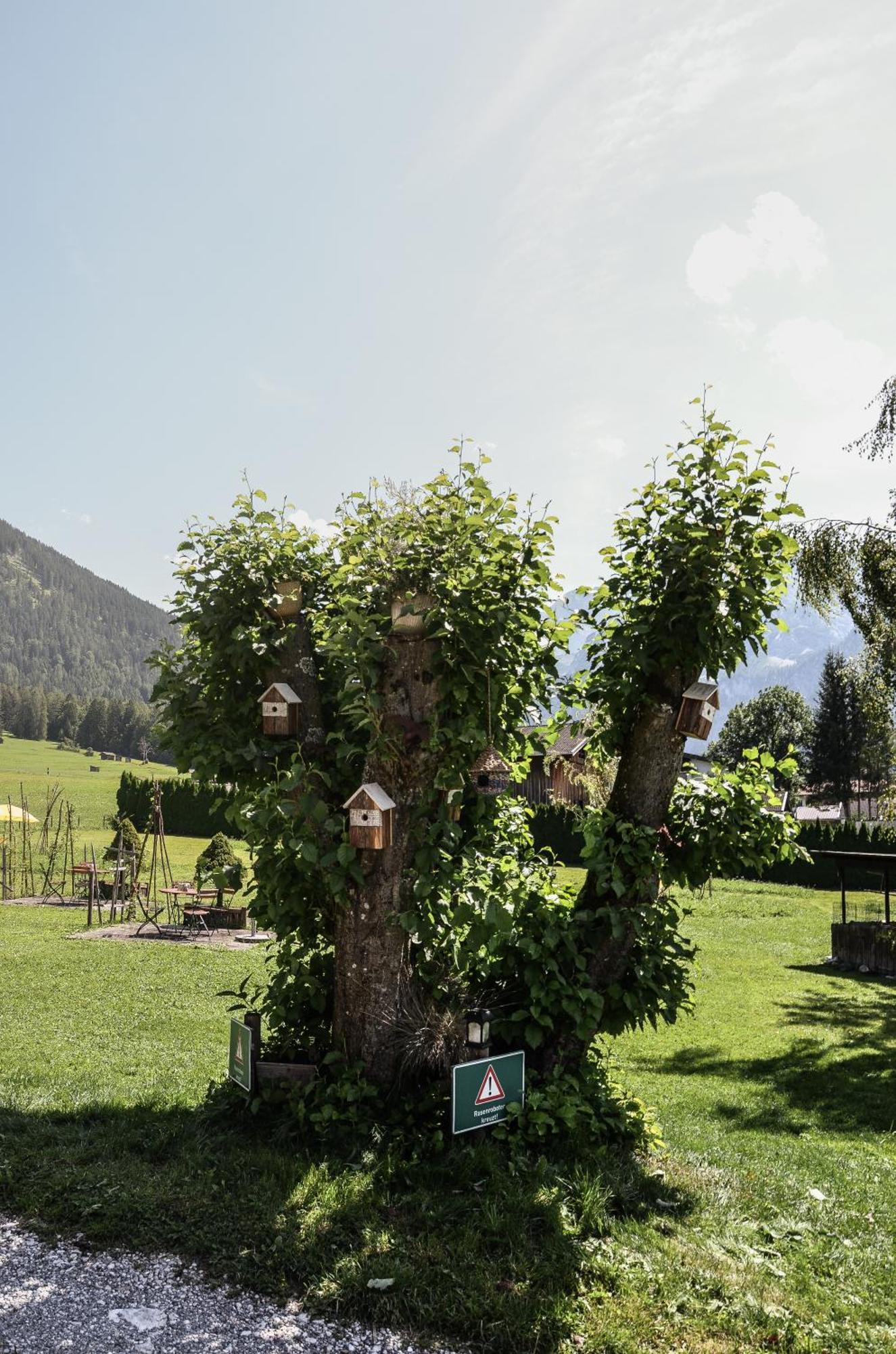 Hotel Ehrwalderhof Extérieur photo